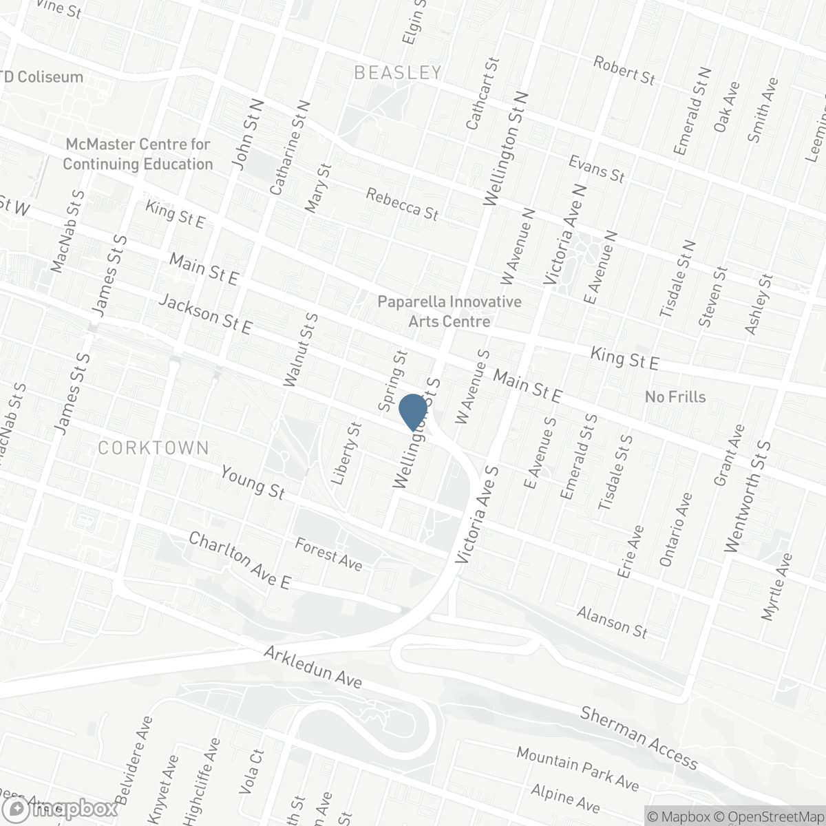 70 WELLINGTON STREET S, Hamilton, Ontario L8N 2R1